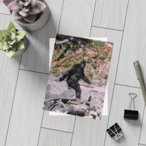 Bigfoot Postcards Bundle with Envelopes