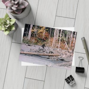 Bigfoot Full Frame Postcards with Envelopes