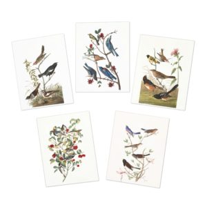 Audubon Collection Four- Multi-Design Greeting Cards (5-Pack)