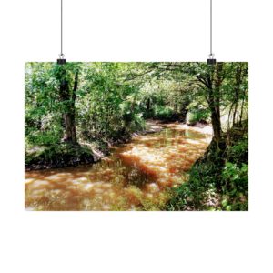 Boggy Creek, Fouke Arkansas - Art Print